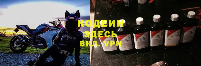 магазин продажи наркотиков  Новомичуринск  Кодеиновый сироп Lean Purple Drank 